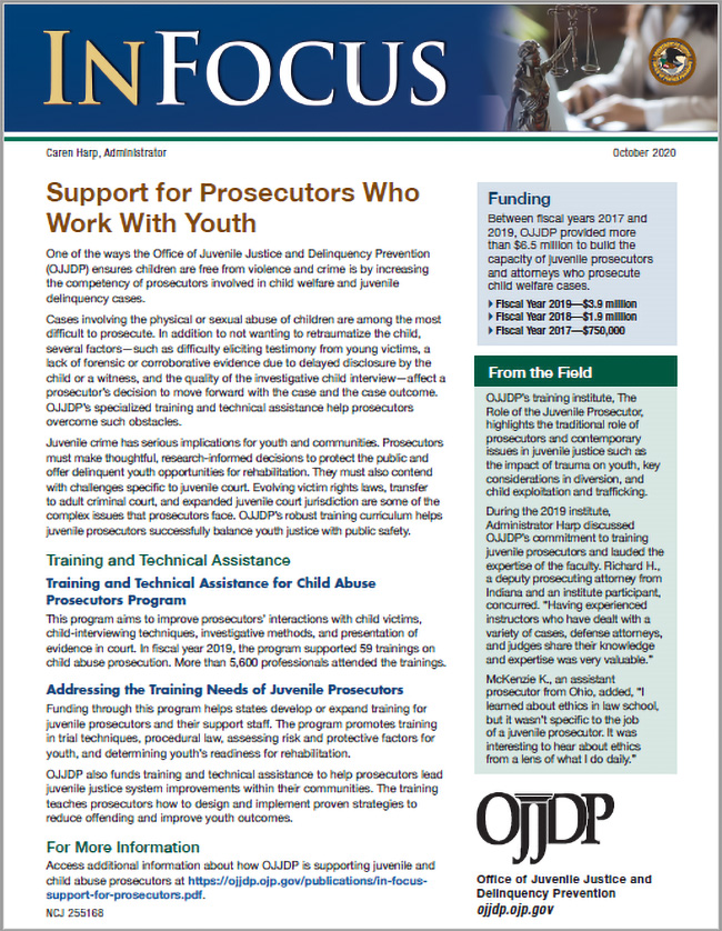 Cover of Support for Prosecutors Who Work With Youth