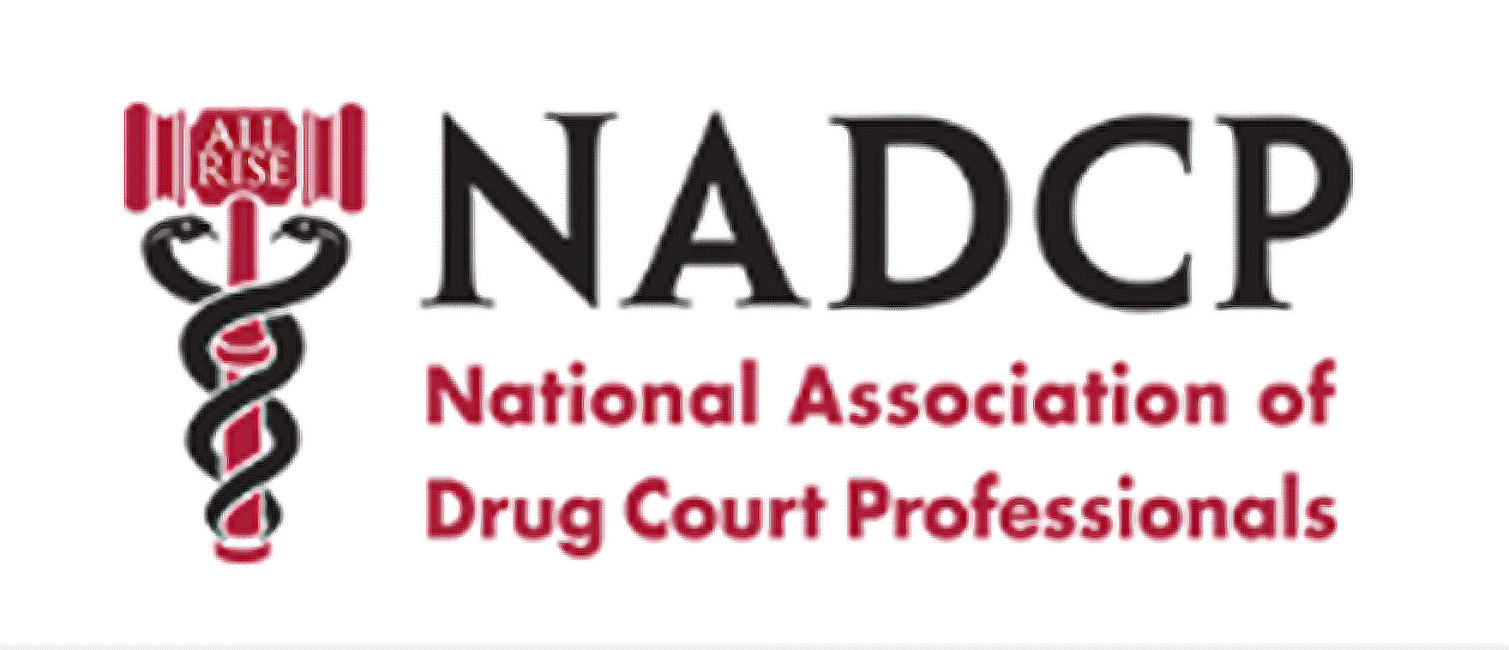 Logo of the National Association of Drug Court Professionals 