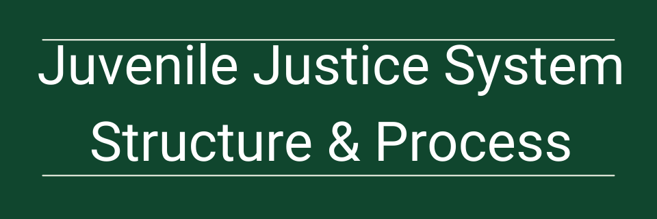 Juvenile Justice System Structure & Process
