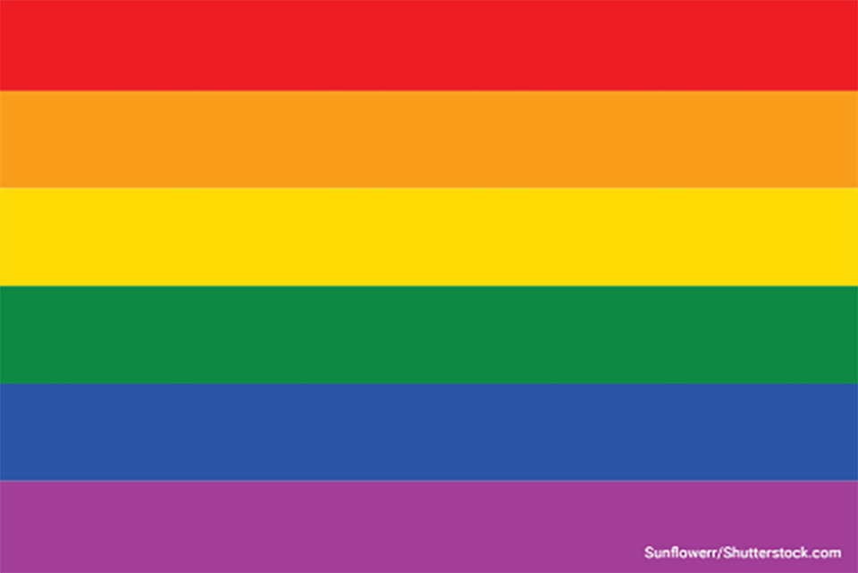  Rainbow flag