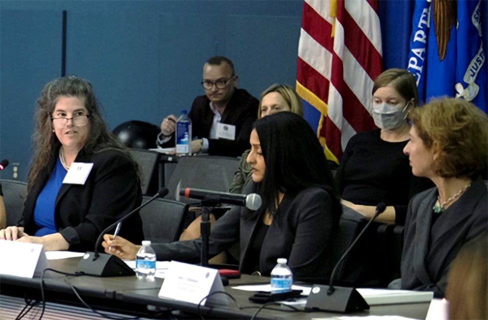 Justice Department officials at the Coordinating Council meeting.