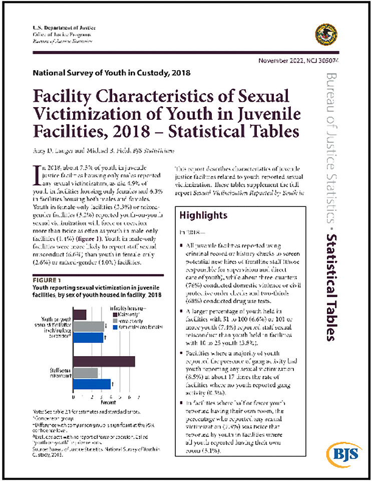Thumbnail for “Facility Characteristics of Sexual Victimization of Youth in Juvenile Facilities, 2018 –Statistical Tables.”