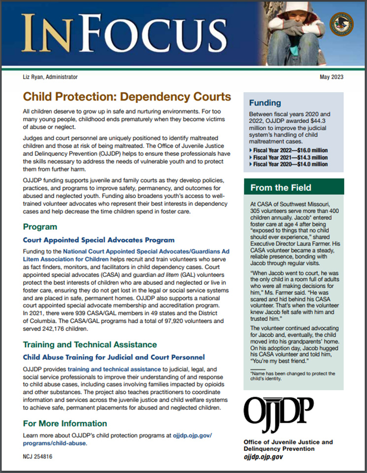 cover of Child Protection: Dependency Courts