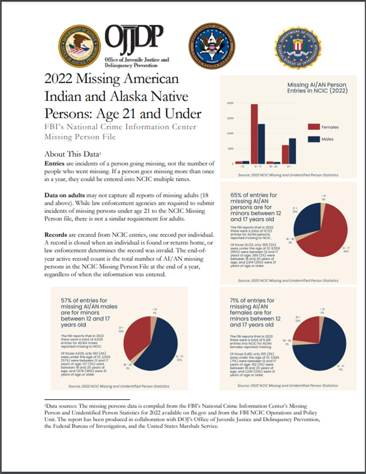 cover of 2022 Missing American Indian and Alaska Native Persons: Age 21 and Under 