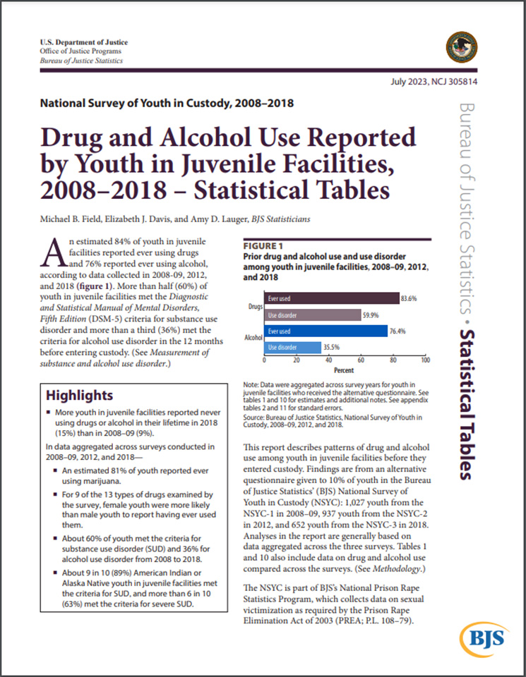 Thumbnail for “Drug and Alcohol Use Reported by Youth in Juvenile Facilities, 2008–2018 – Statistical Tables”