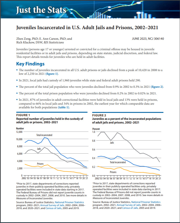 Thumbnail for “Juveniles Incarcerated in U.S. Adult Jails and Prisons, 2002–2021”