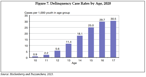 Figure 7. Delinquency Case Rates by Age, 2020