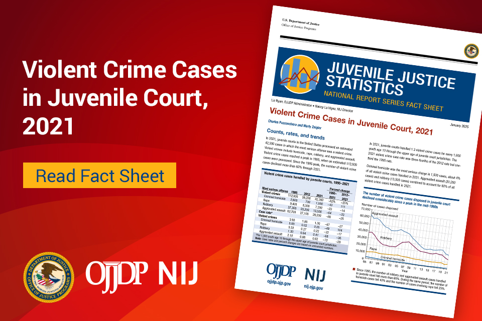 Violent Crime Cases in Juvenile Court, 2021 - Read Fact Sheet - Card