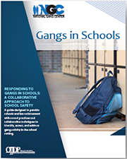 Gangs in Schools thumbnail