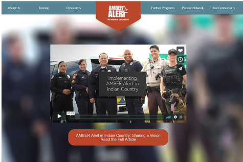 Screenshot of the AMBER Alert website
