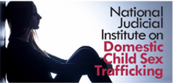 National Judicial Inistitute on Domestic Child Sex Trafficking logo