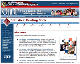 Image of Statistical Briefing Book home page.