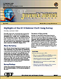 Cover of Highlights of the 2010 National Youth Gang Survey.