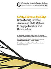 Cover of Safety, Fairness, Stability: Repositioning Juvenile Justice and Child Welfare to Engage Families and Communities