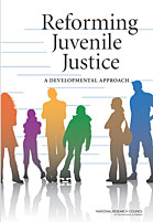 Reforming Juvenile Justice: A Developmental Approach cover