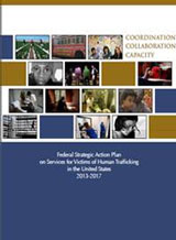 cover of the Federal Strategic Action Plan