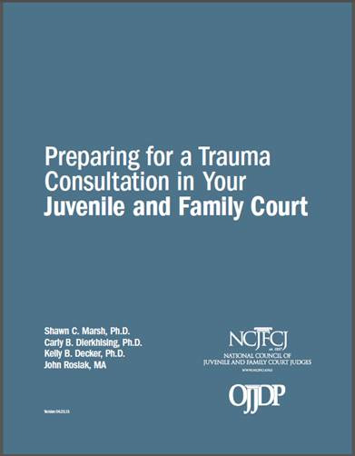 Preparing for a Trauma Consultation in Your Juvenile and Family Court