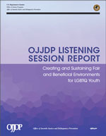 Creating  and Sustaining Fair and Beneficial Environments for LGBTQ Youth Listening  Session Report