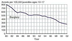 Four charts showing juvenile arrest rates for burglary, larceny-theft, motor vehicle theft, and arson, 1980-2002.