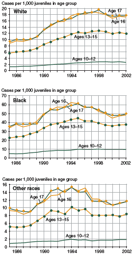 Three figures showing person offense case rates by age and racial group (white youth, black youth, youth of other races) from 1985 through 2002.