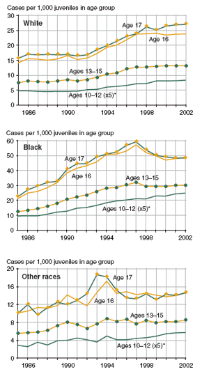 Three figures showing public order offense case rates by age and racial group (white youth, black youth, youth of other races) from 1985 through 2002.