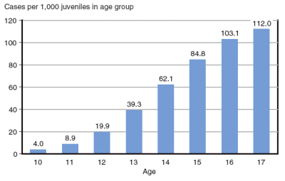 Figure showing juvenile delinquency case rates by age (10 through 17) in the year 2004.