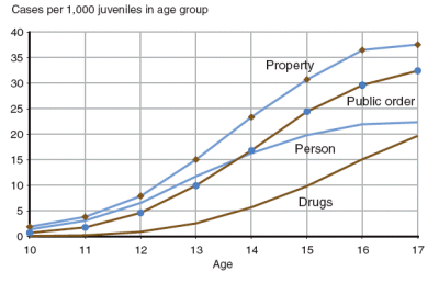 Figure showing delinquency case rates, by age and offense category, 2004.