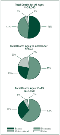Figure 2. 1996 Firearm Deaths by Intent