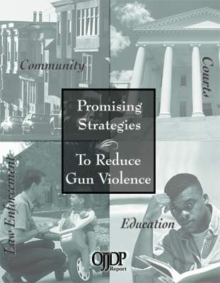 Promising Strategies To Reduce Gun Violence