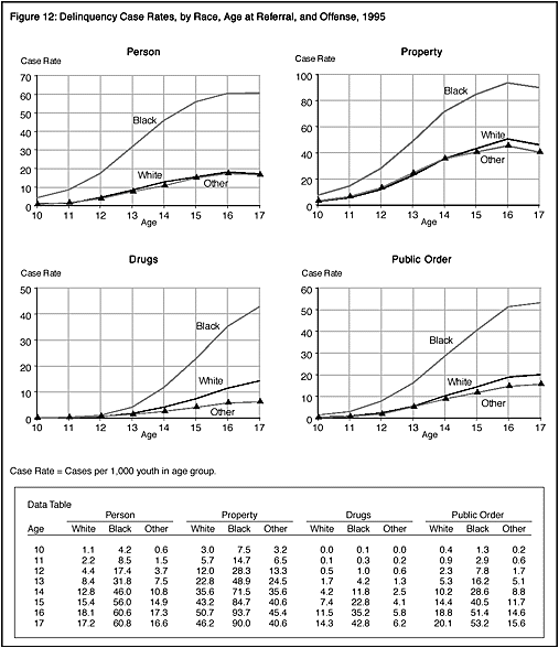 Figure 12: Delinquency Case Rates, by Race, Age at Referral, and Offense, 1995