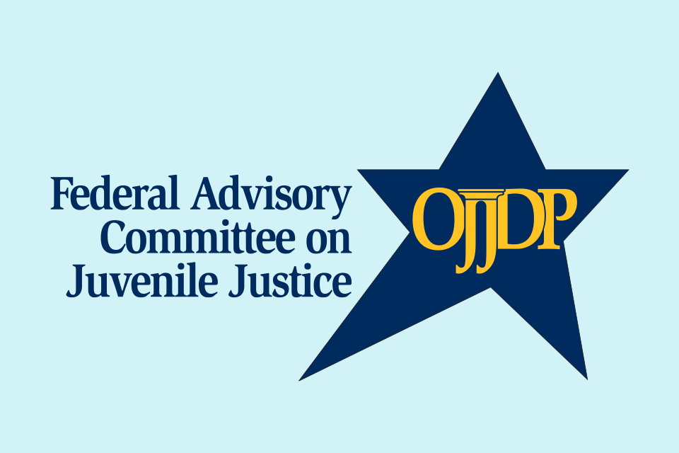 Federal Advisory Committee on Juvenile Justice 