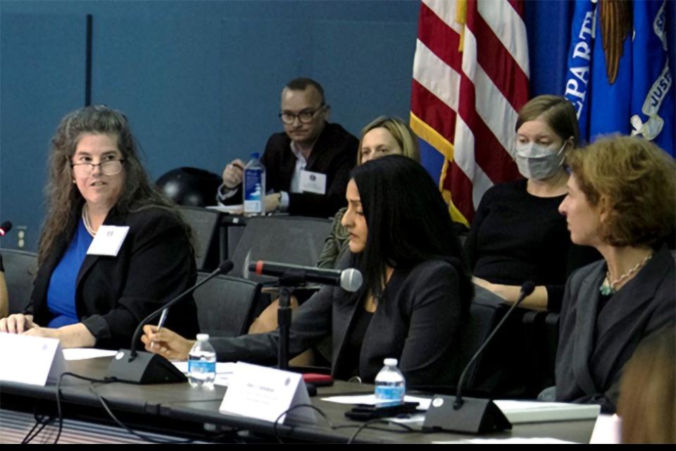 Justice Department officials at the Coordinating Council meeting.