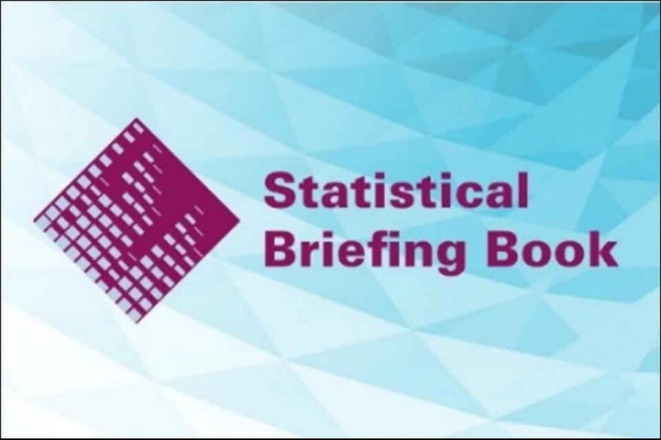Statistical Briefing Book logo