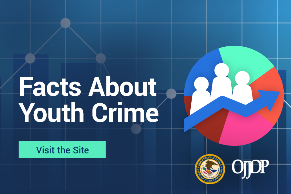 Facts About Youth Crime - Visit the Site
