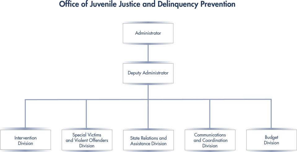 OJJDP Organization Chart OJJDP Organization Chart shows the Deputy Administrator Under the Administrator and all OJJDP Divisions under the Deputy Administrator.