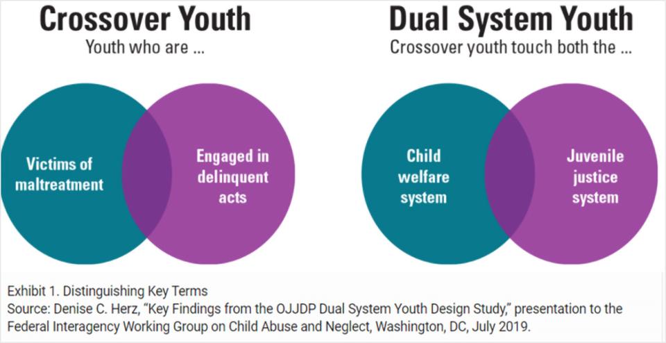 Diagrams of the population of juveniles that are dual system youth and crossover youth