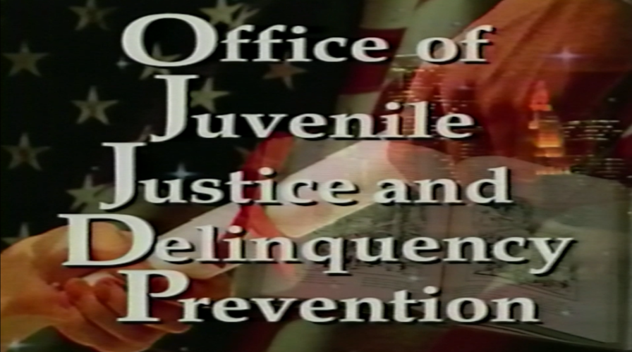 Slideshow - Mentoring for Youth in Schools and Communities OJJDP Teleconference - 1997 