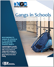 Gangs in Schools thumbnail Gangs in Schools thumbnail