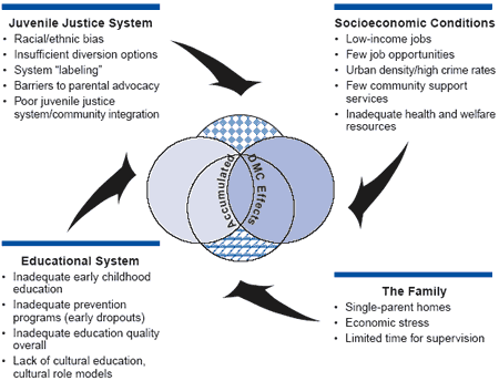 Figure 1: Figure showing the underlying factors that contribute to minority overrepresentation (four domains--the juvenile justice and educational systems, the family, and socioeconomic conditions).