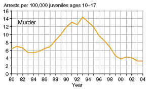 Eight charts showing juvenile arrest rate for murder, forcible rape, robbery, aggravated assault, burglary, larceny-theft, motor vehicle theft, and arson, 1980�2004.