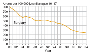 Eight charts showing juvenile arrest rate for murder, forcible rape, robbery, aggravated assault, burglary, larceny-theft, motor vehicle theft, and arson, 1980�2004.