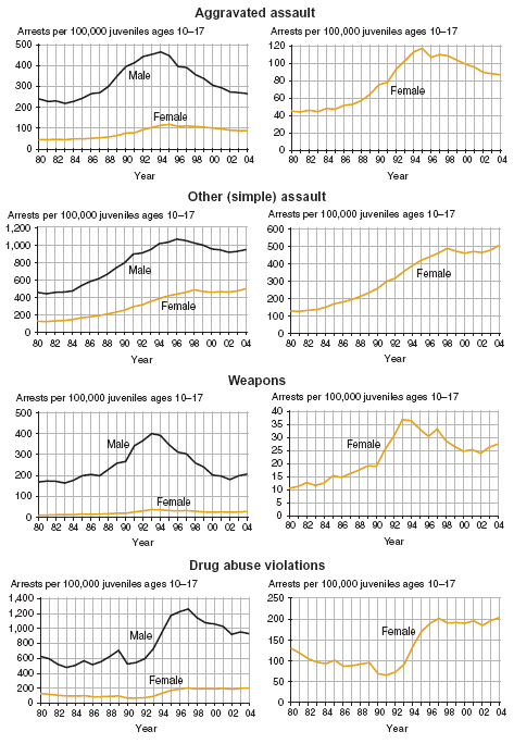 Eight charts showing male and female juvenile arrest rates for aggravated assault, simple assault, weapons offenses, and drug abuse violations, 1980�2004.