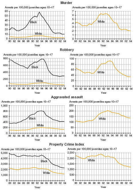 Eight charts showing juvenile arrest rates, by race, for murder, robbery, aggravated assault, and Property Crime Index offenses, 1980�2004