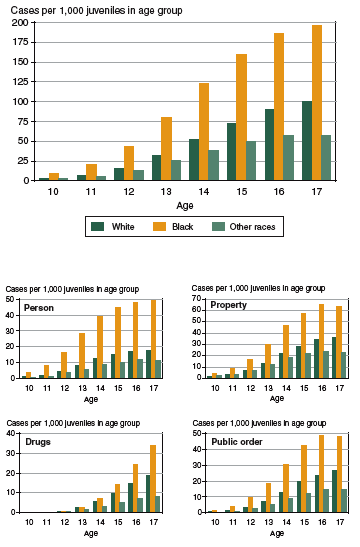 Five bar graphs showing delinquency case rates by race, age, and offense category, 2002.