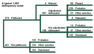 Flowchart showing an overview of the disposition of a typical 1,000 juvenile delinquency cases in 2002.