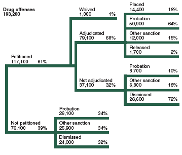 Flowchart showing the disposition of 193,200 juvenile drug offense cases in 2002.