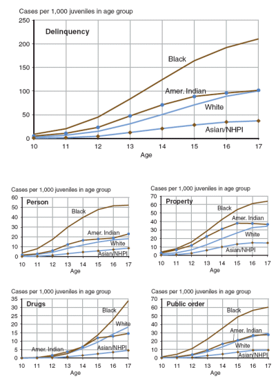 Five bar graphs showing delinquency case rates by race, age, and offense category, 2004.
