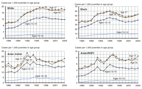 Four figures showing person offense case rates by age and racial group (white youth, black youth, American Indian youth, and Asian/NHPI youth) from 1986 through 2004.