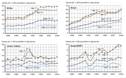 four figures showing public order offense case rates by age and racial group (white youth, black youth, youth of other races) from 1986 through 2004.