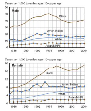 two figures showing person offense case rates by male and female from 1986 through 2004.